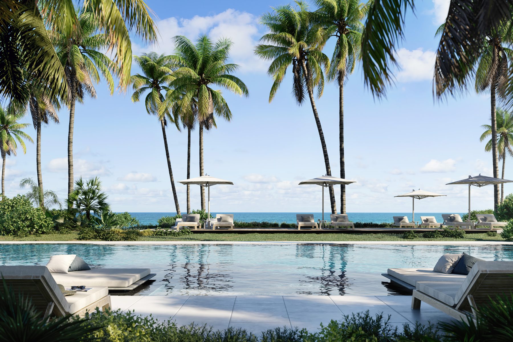 Rendering of the beachfront pool under palms at The Perigon